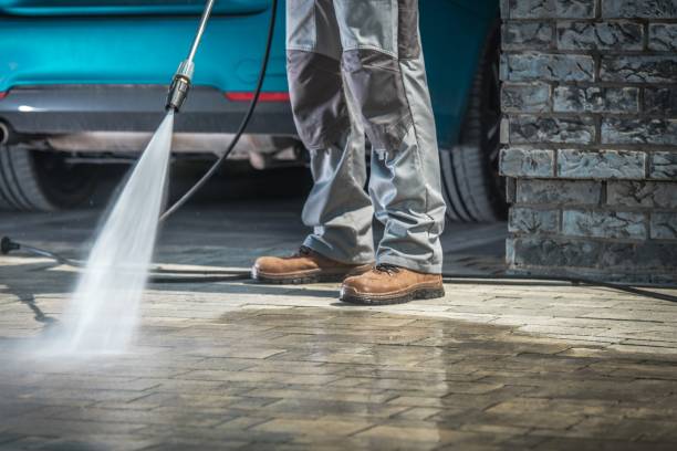 Best Winterizing Services  in Hillsdale, NJ