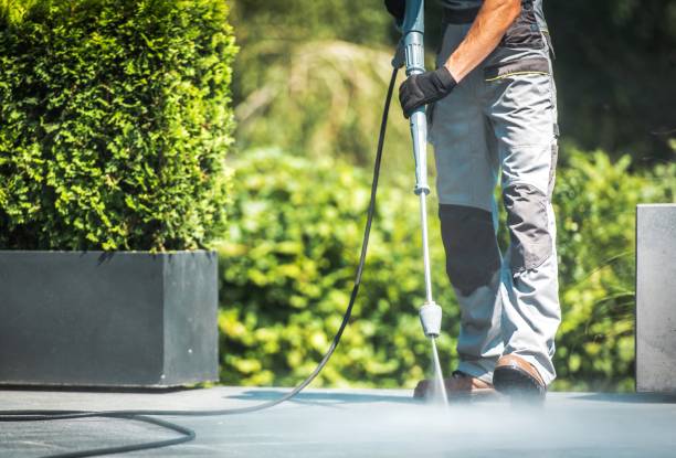 Best Driveway Pressure Washing  in Hillsdale, NJ