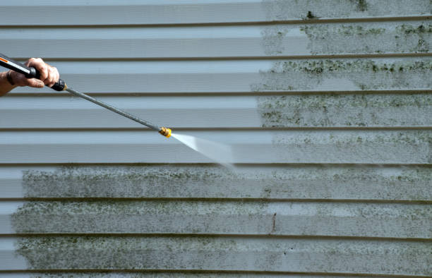 Best Gutter Cleaning  in Hillsdale, NJ